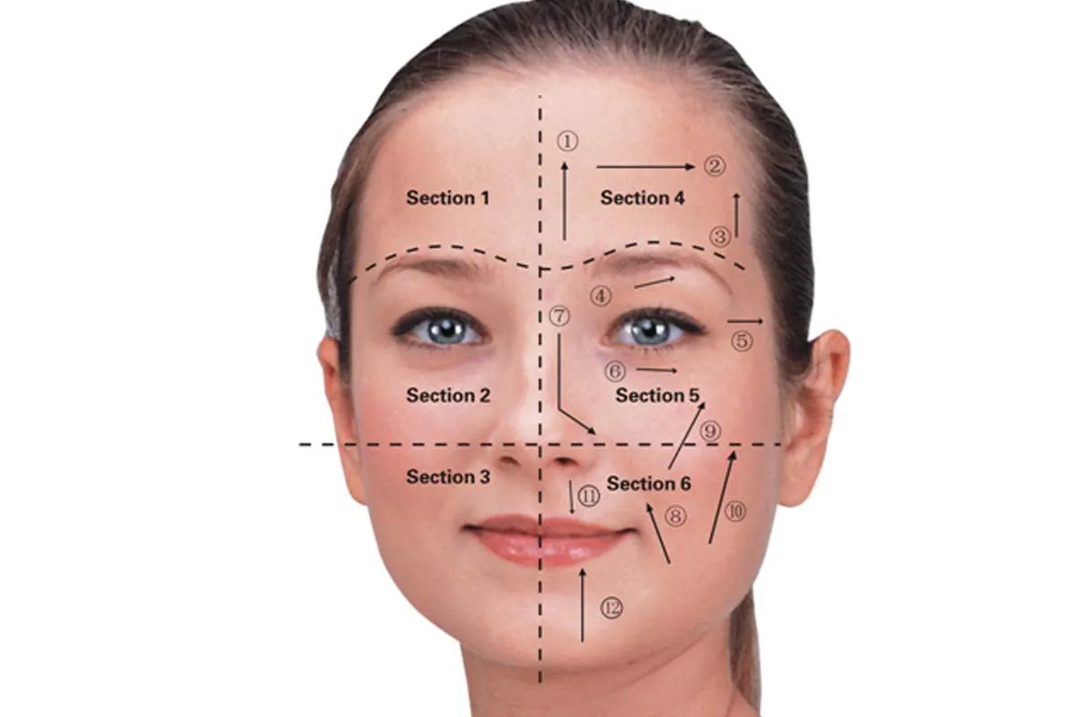 Mapa facial con secciones y direcciones del drenaje linfático